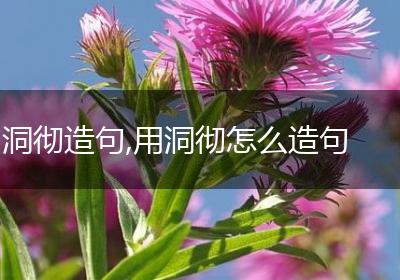 洞彻造句,用洞彻怎么造句