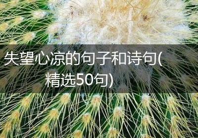 失望心凉的句子和诗句(精选50句)