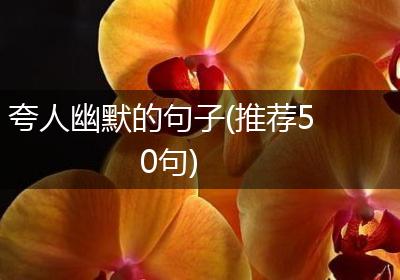 夸人幽默的句子(推荐50句)