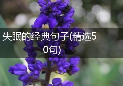 失眠的经典句子(精选50句)