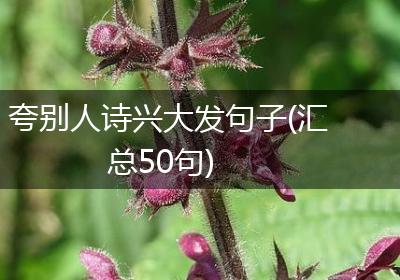夸别人诗兴大发句子(汇总50句)