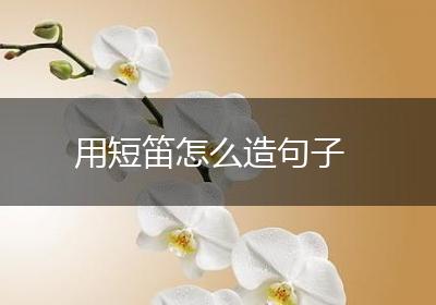 用短笛怎么造句子
