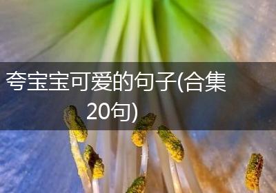 夸宝宝可爱的句子(合集20句)