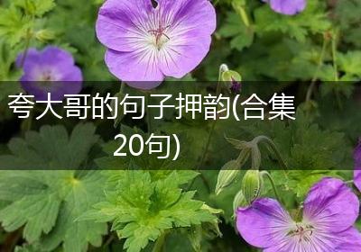 夸大哥的句子押韵(合集20句)