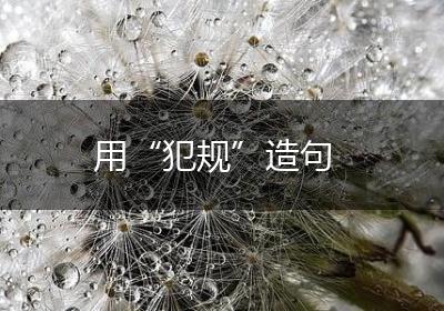 用“犯规”造句