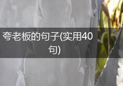 夸老板的句子(实用40句)