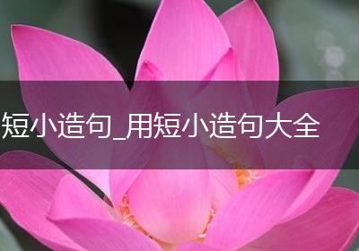 短小造句_用短小造句大全