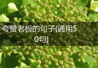 夸赞老板的句子(通用50句)