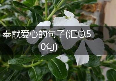 奉献爱心的句子(汇总50句)