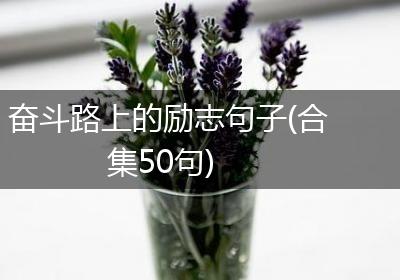 奋斗路上的励志句子(合集50句)