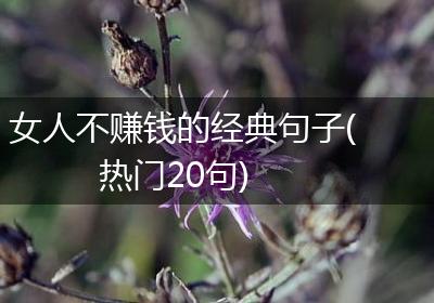 女人不赚钱的经典句子(热门20句)