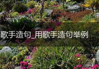 歌手造句_用歌手造句举例