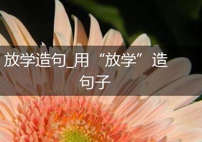 放学造句_用“放学”造句子