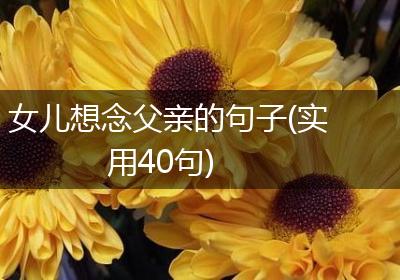 女儿想念父亲的句子(实用40句)