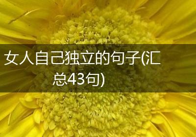 女人自己独立的句子(汇总43句)
