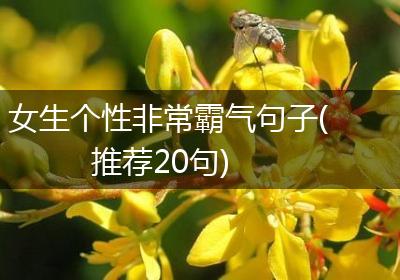 女生个性非常霸气句子(推荐20句)