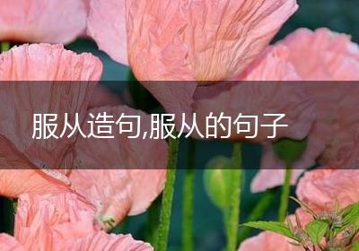 服从造句,服从的句子