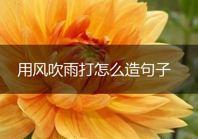 用风吹雨打怎么造句子