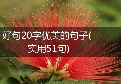 好句20字优美的句子(实用51句)