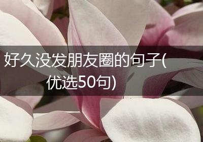 好久没发朋友圈的句子(优选50句)
