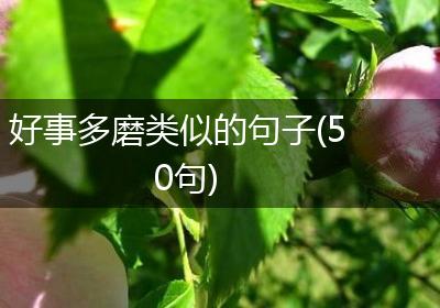 好事多磨类似的句子(50句)