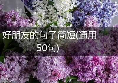 好朋友的句子简短(通用50句)