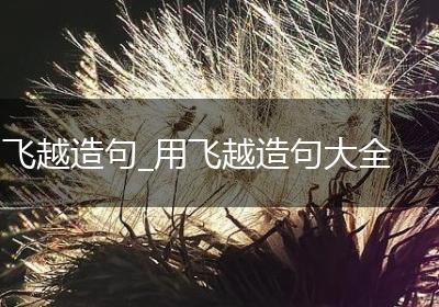 飞越造句_用飞越造句大全