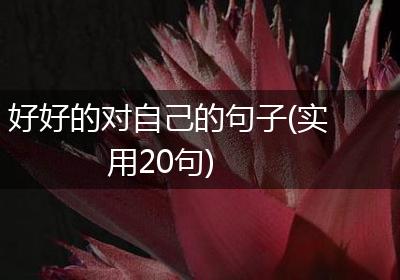 好好的对自己的句子(实用20句)