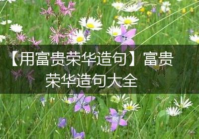 【用富贵荣华造句】富贵荣华造句大全