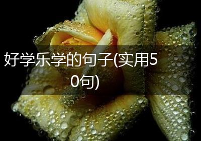 好学乐学的句子(实用50句)