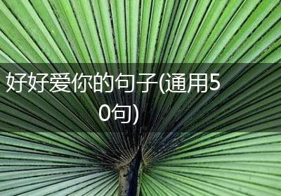 好好爱你的句子(通用50句)
