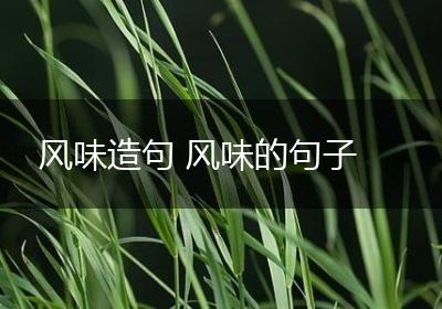 风味造句 风味的句子