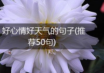 好心情好天气的句子(推荐50句)