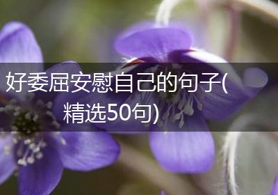 好委屈安慰自己的句子(精选50句)