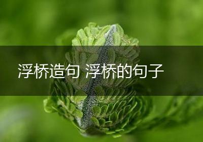 浮桥造句 浮桥的句子