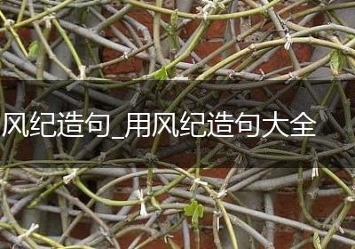 风纪造句_用风纪造句大全
