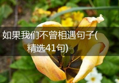 如果我们不曾相遇句子(精选41句)