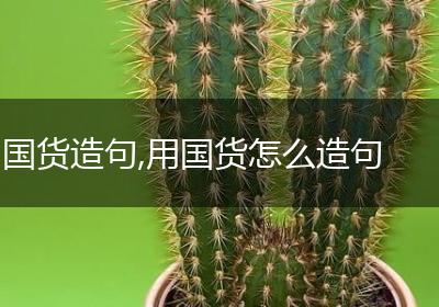 国货造句,用国货怎么造句