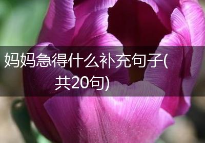 妈妈急得什么补充句子(共20句)