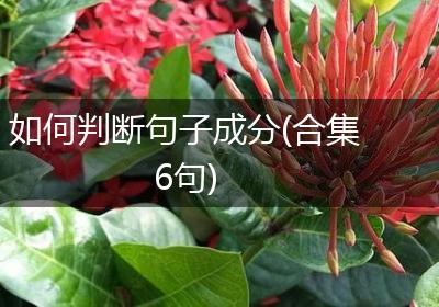 如何判断句子成分(合集6句)