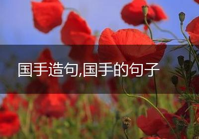 国手造句,国手的句子