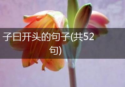 子曰开头的句子(共52句)