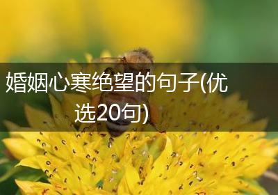 婚姻心寒绝望的句子(优选20句)