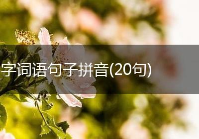 字词语句子拼音(20句)