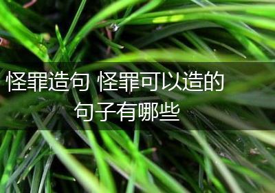怪罪造句 怪罪可以造的句子有哪些