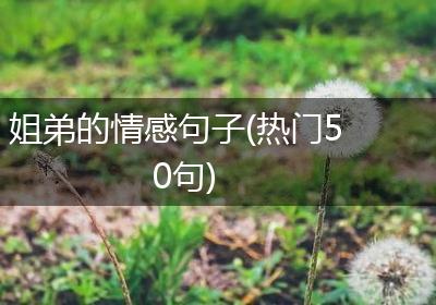 姐弟的情感句子(热门50句)