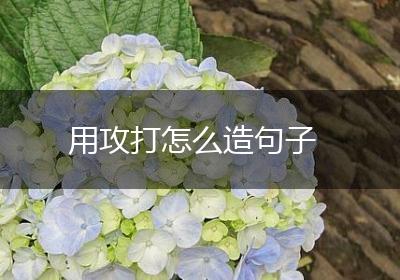 用攻打怎么造句子
