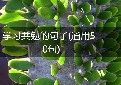 学习共勉的句子(通用50句)