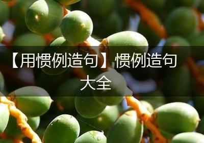 【用惯例造句】惯例造句大全
