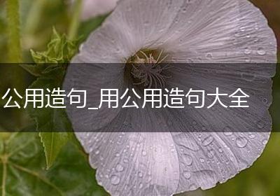 公用造句_用公用造句大全